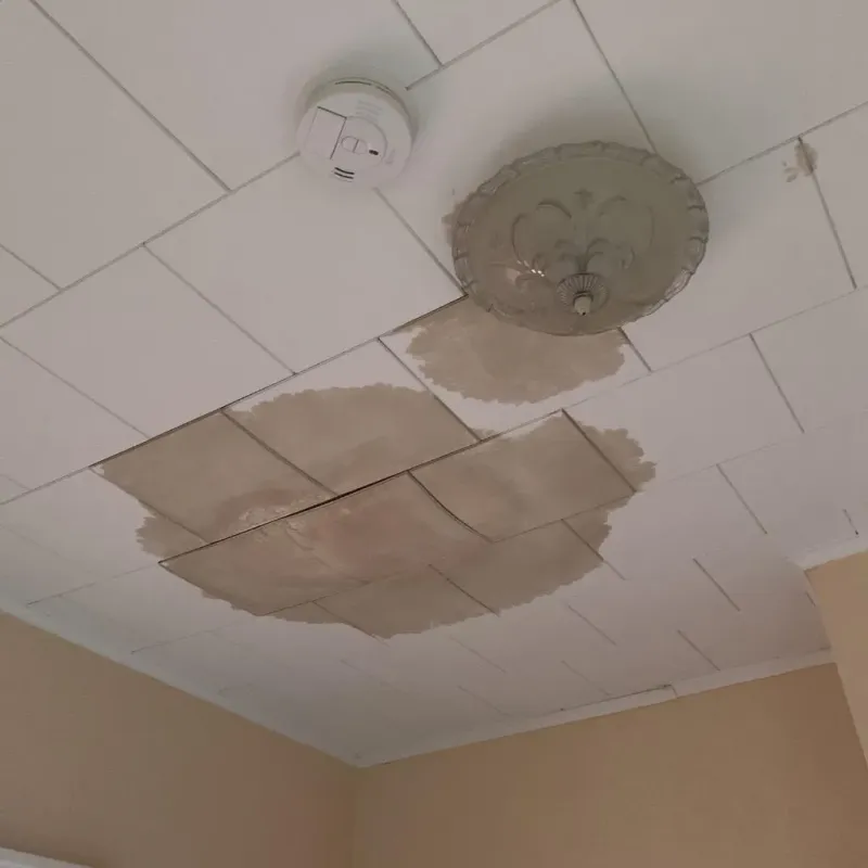 Ceiling Water Damage Repair in Vermilion Parish, LA